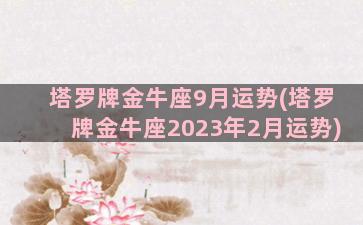 塔罗牌金牛座9月运势(塔罗牌金牛座2023年2月运势)