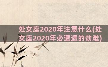 处女座2020年注意什么(处女座2020年必遭遇的劫难)