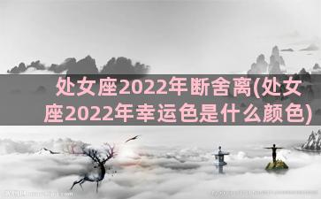 处女座2022年断舍离(处女座2022年幸运色是什么颜色)