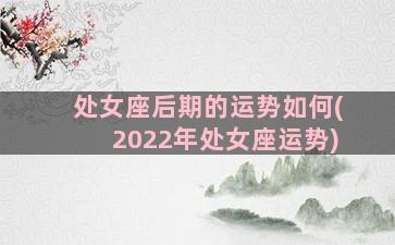 处女座后期的运势如何(2022年处女座运势)