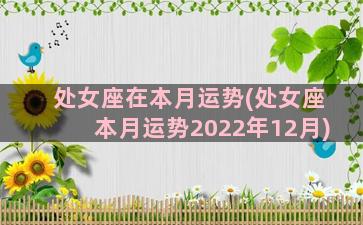 处女座在本月运势(处女座本月运势2022年12月)