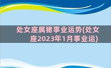 处女座属猪事业运势(处女座2023年1月事业运)