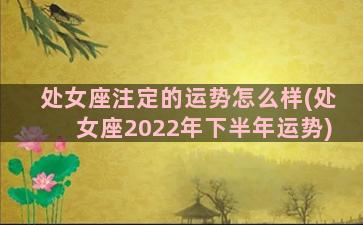 处女座注定的运势怎么样(处女座2022年下半年运势)