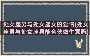 处女座男与处女座女的爱情(处女座男与处女座男能合伙做生意吗)