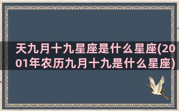 天九月十九星座是什么星座(2001年农历九月十九是什么星座)