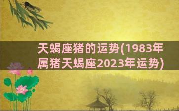 天蝎座猪的运势(1983年属猪天蝎座2023年运势)