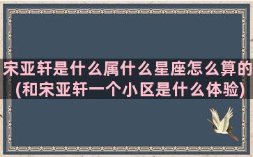 宋亚轩是什么属什么星座怎么算的(和宋亚轩一个小区是什么体验)