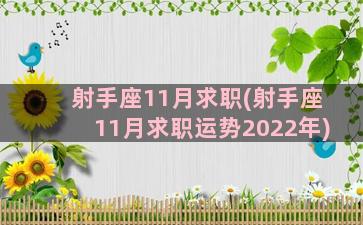 射手座11月求职(射手座11月求职运势2022年)