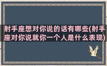 射手座想对你说的话有哪些(射手座对你说就你一个人是什么表现)