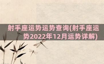 射手座运势运势查询(射手座运势2022年12月运势详解)