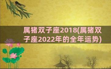 属猪双子座2018(属猪双子座2022年的全年运势)