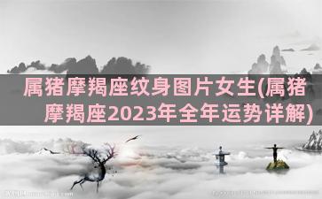 属猪摩羯座纹身图片女生(属猪摩羯座2023年全年运势详解)