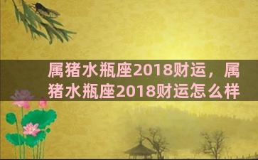 属猪水瓶座2018财运，属猪水瓶座2018财运怎么样