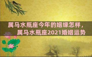 属马水瓶座今年的姻缘怎样，属马水瓶座2021婚姻运势