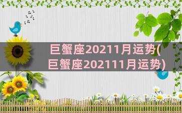 巨蟹座20211月运势(巨蟹座202111月运势)