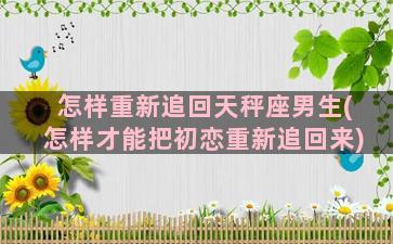 怎样重新追回天秤座男生(怎样才能把初恋重新追回来)