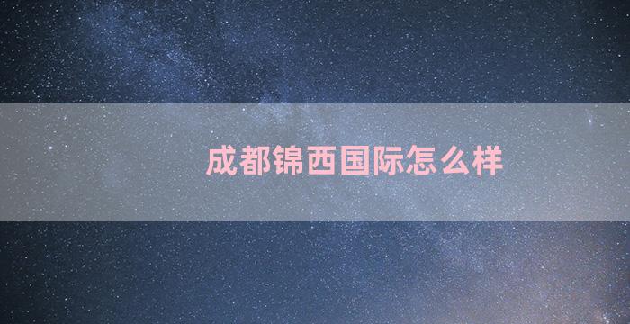 成都锦西国际怎么样