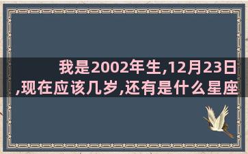 我是2002年生,12月23日,现在应该几岁,还有是什么星座