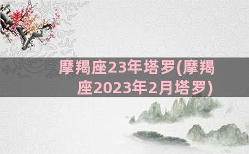 摩羯座23年塔罗(摩羯座2023年2月塔罗)