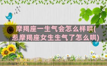 摩羯座一生气会怎么样哄(惹摩羯座女生生气了怎么哄)