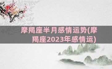 摩羯座半月感情运势(摩羯座2023年感情运)