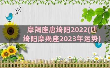 摩羯座唐绮阳2022(唐绮阳摩羯座2023年运势)