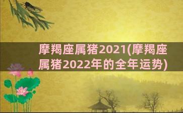 摩羯座属猪2021(摩羯座属猪2022年的全年运势)