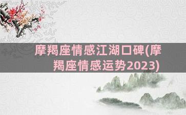 摩羯座情感江湖口碑(摩羯座情感运势2023)