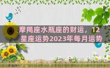 摩羯座水瓶座的财运，12星座运势2023年每月运势