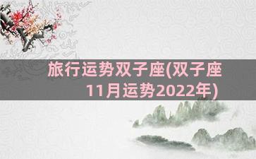 旅行运势双子座(双子座11月运势2022年)