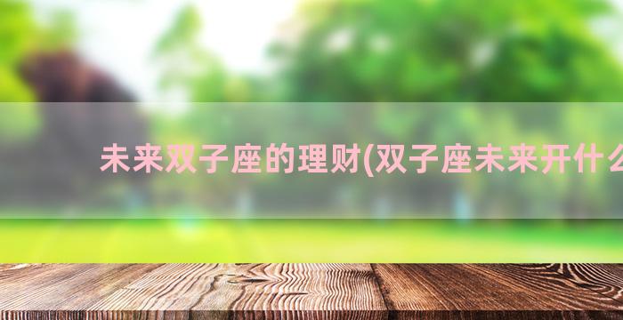 未来双子座的理财(双子座未来开什么车)