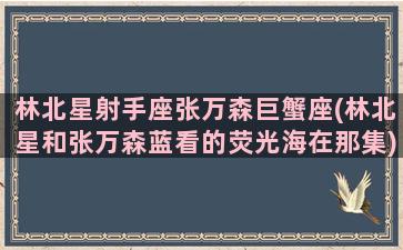 林北星射手座张万森巨蟹座(林北星和张万森蓝看的荧光海在那集)