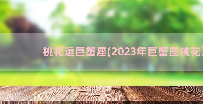 桃花运巨蟹座(2023年巨蟹座桃花运)