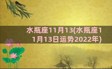 水瓶座11月13(水瓶座11月13日运势2022年)