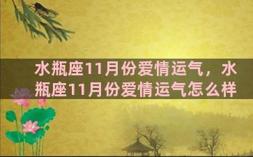 水瓶座11月份爱情运气，水瓶座11月份爱情运气怎么样