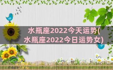 水瓶座2022今天运势(水瓶座2022今日运势女)