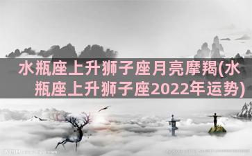 水瓶座上升狮子座月亮摩羯(水瓶座上升狮子座2022年运势)