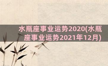 水瓶座事业运势2020(水瓶座事业运势2021年12月)