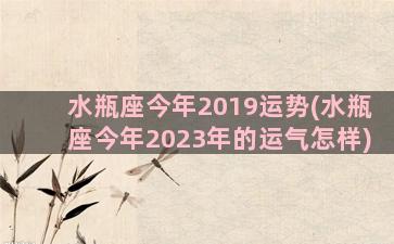 水瓶座今年2019运势(水瓶座今年2023年的运气怎样)