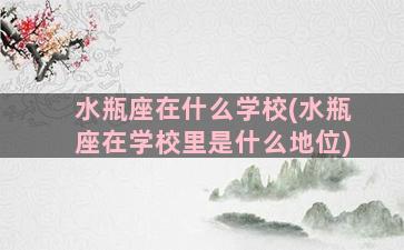 水瓶座在什么学校(水瓶座在学校里是什么地位)