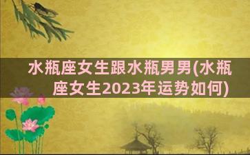 水瓶座女生跟水瓶男男(水瓶座女生2023年运势如何)