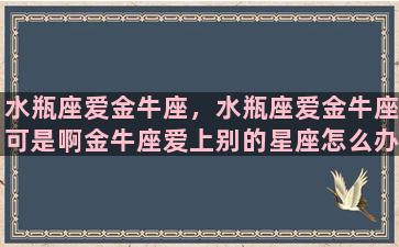 水瓶座爱金牛座，水瓶座爱金牛座可是啊金牛座爱上别的星座怎么办呢