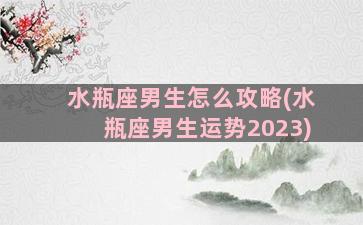 水瓶座男生怎么攻略(水瓶座男生运势2023)