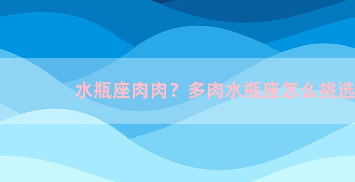 水瓶座肉肉？多肉水瓶座怎么挑选