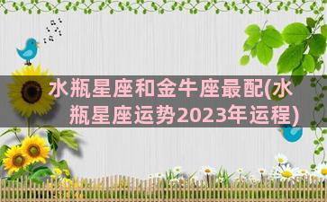 水瓶星座和金牛座最配(水瓶星座运势2023年运程)