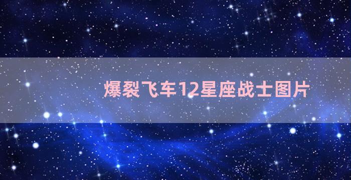 爆裂飞车12星座战士图片