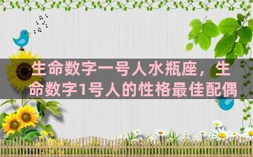 生命数字一号人水瓶座，生命数字1号人的性格最佳配偶