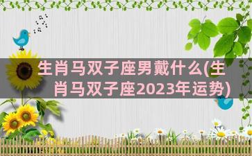 生肖马双子座男戴什么(生肖马双子座2023年运势)