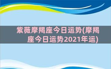 紫薇摩羯座今日运势(摩羯座今日运势2021年运)