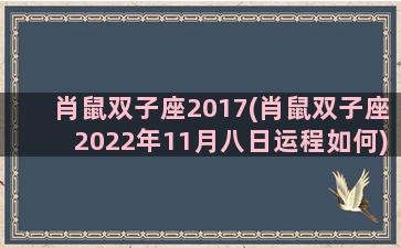 肖鼠双子座2017(肖鼠双子座2022年11月八日运程如何)